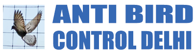 antibirdcontroldelhi