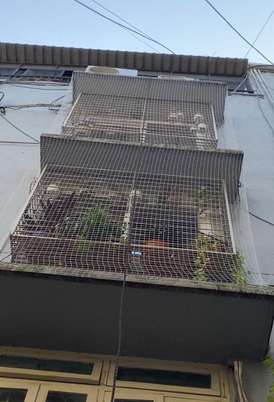 antibirdcontroldelhi